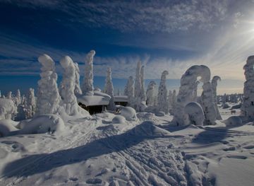 Riisitunturi National Park