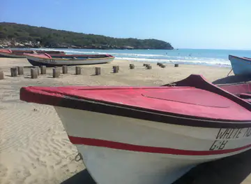 Treasure Beach Area