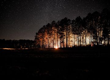 Conecuh National Forest