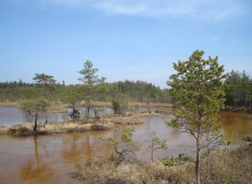 Teici Nature Reserve