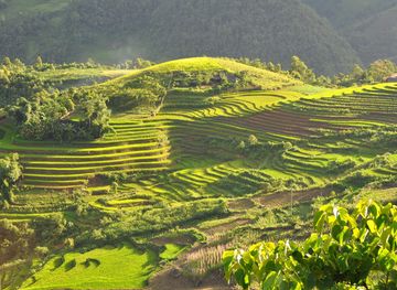 File:Terraced fields Sa Pa Vietnam.JPG - Wikipedia