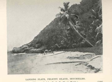 File:FMIB 36511 Landing Place, Felicite Island, Seychelles.jpeg - Wikimedia  Commons
