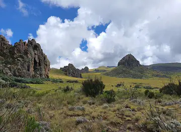 Aberdare National Park