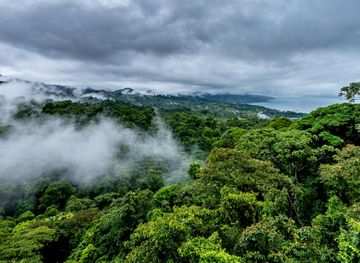 Monteverde Cloud Forest