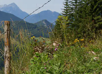 Kalkalpen National Park