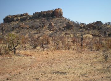 File:Landscape in the Mapungubwe National Park, with zebras.jpg - Wikimedia  Commons