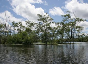 File:Bigi Pan Nature Reserve (2720197032).jpg - Wikipedia