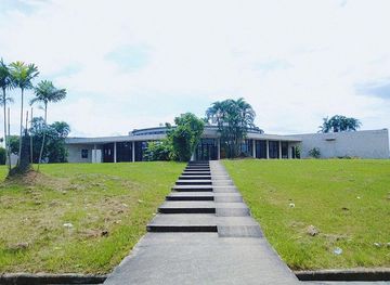 Ibibio