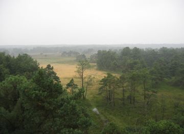 Kempense Heuvelrug