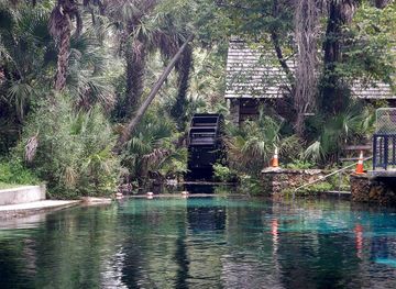 Ocala National Forest