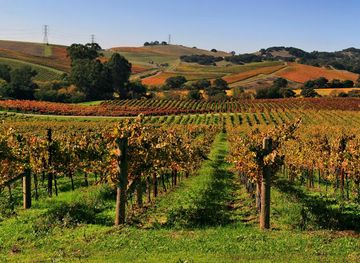 Wine Country