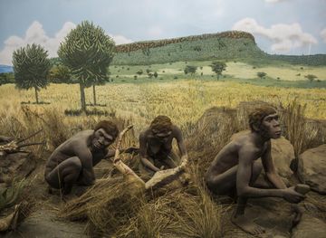 Pokot Region