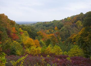 The Southern Hills and Lowlands