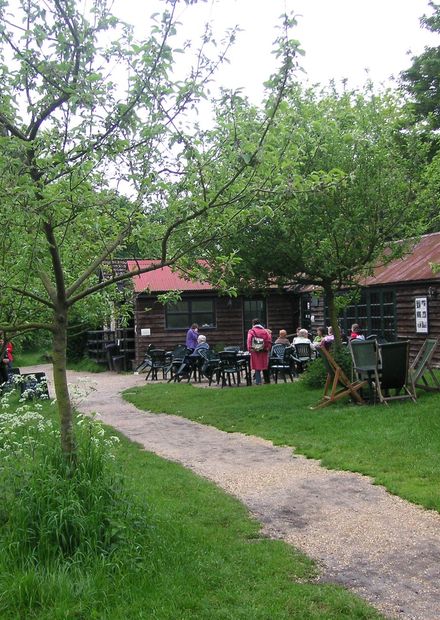File:The Orchard Tea Garden in ...