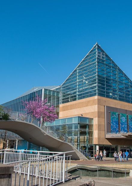 File:TN Aquarium 02.jpg - Wikimedia Commons