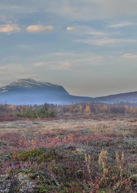File:Abisko nationalpark i ...