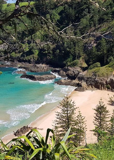 File:Anson Bay Norfolk Island View from ...