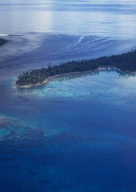 French Polynesia. (35115394304).jpg ...