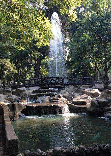 File:Parque México.JPG - Wikimedia Commons