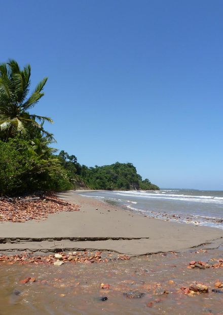 South Coast, Trinidad and Tobago.JPG ...