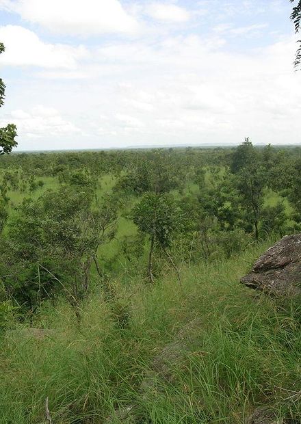 File:Pendjari.JPG - Wikimedia Commons