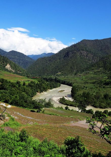 File:Mo Chu Jigme Dorji NP AJT ...