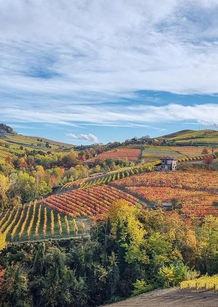 File:Vineyards - Barolo, Cuneo, Itay ...