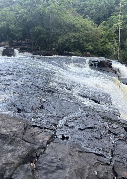 Fichier:Chute de Saala 04.jpg — Wikipédia