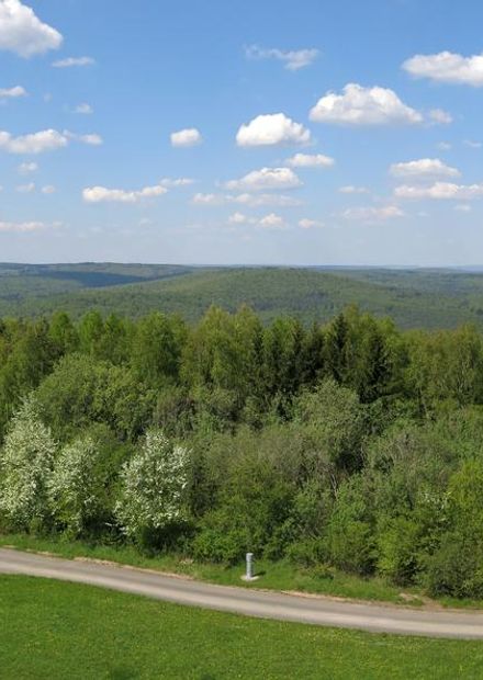File:Aussicht Sohlhöhe (Spessart).jpg ...