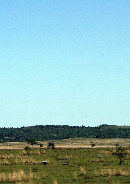 Archivo:Cerro Pero IMG 8423 02.JPG ...