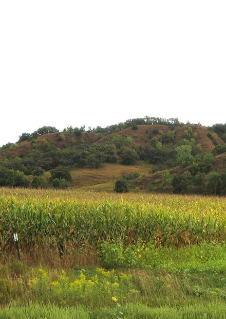File:Loess hills.jpg - Wikimedia Commons