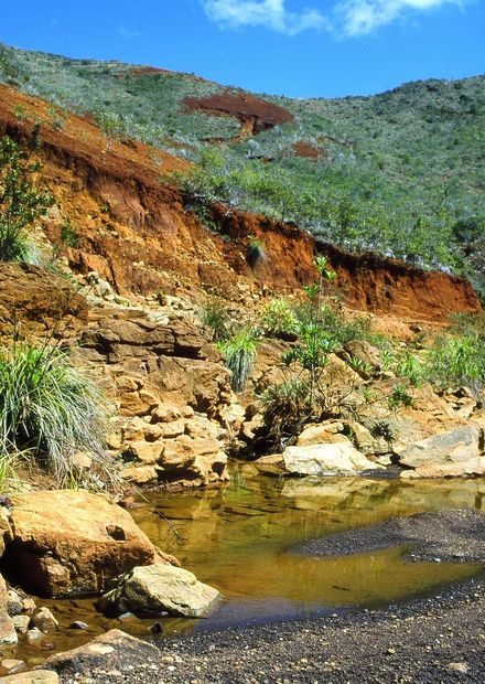 Fichier:River South New Caledonia.jpg ...