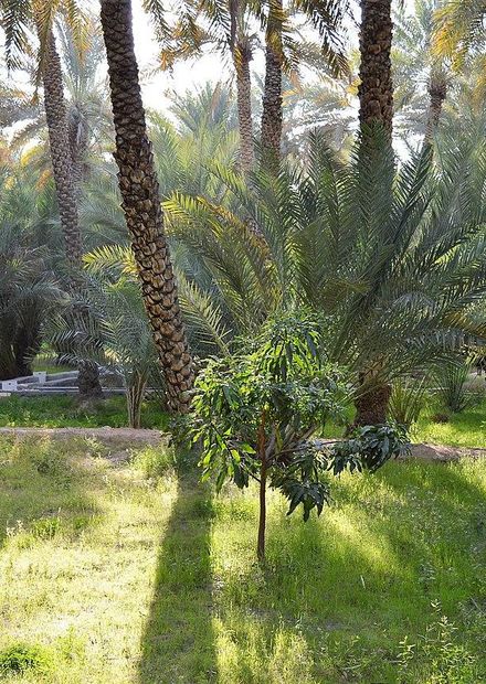 UNESCO World heritage site.jpg ...