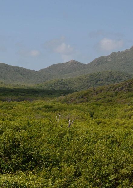 MT. CHRISTOFFEL IN CHRISTOFFEL PARK.jpg ...