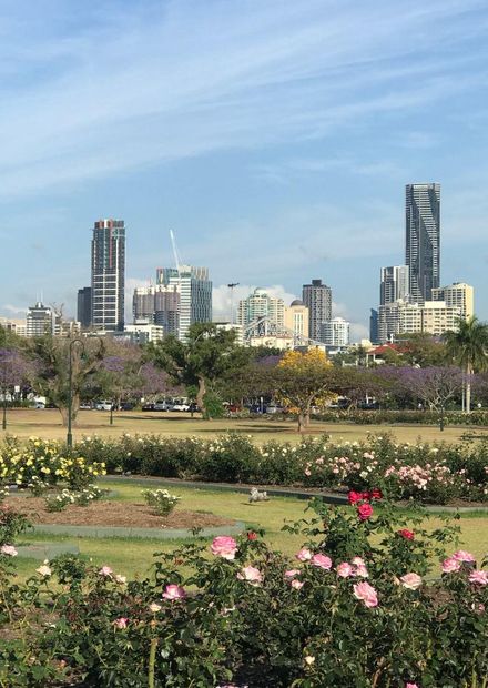 Brisbane CBD, 2021.jpg - Wikimedia Commons