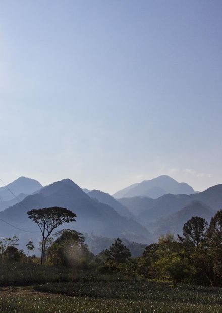 File:PANACAM (32983129515).jpg - Wikipedia