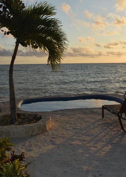 beach, sea, coast, tree, ocean, sunset ...