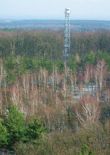 File:Natural reserve Zlota Gora, Konin ...