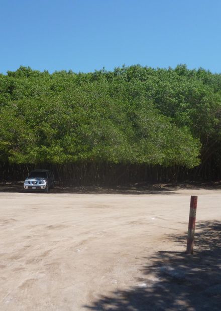 Archivo:Zona Manglares Playa Boca de ...