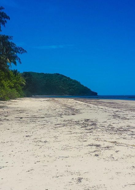 Cape Tribulation from the South Beach ...