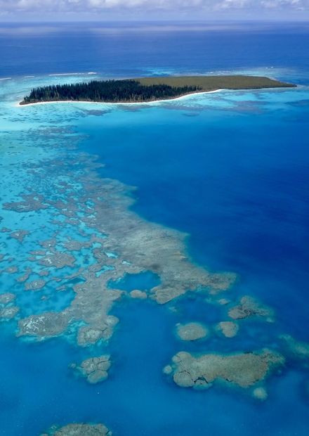 File:Ilot Brosse et Corail - Ile des ...