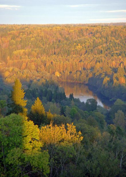 File:Turaidas skats uz Gauju 2okt04.JPG ...