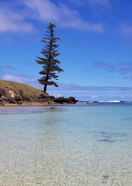 File:Emily Bay Norfolk Island.jpg ...