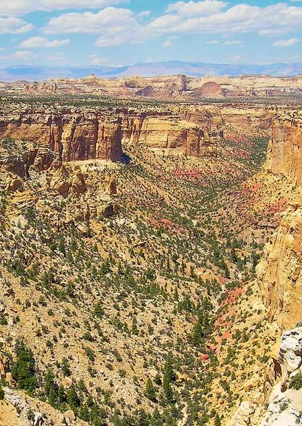 File:Eagle Canyon.JPG - Wikimedia Commons