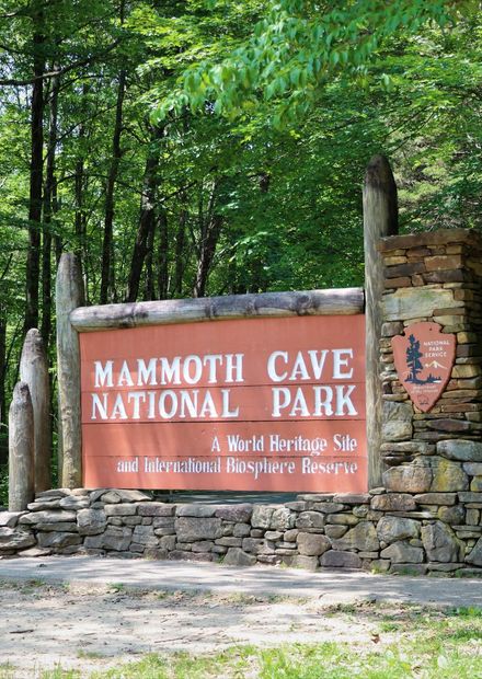 Mammoth Cave National Park release a ...