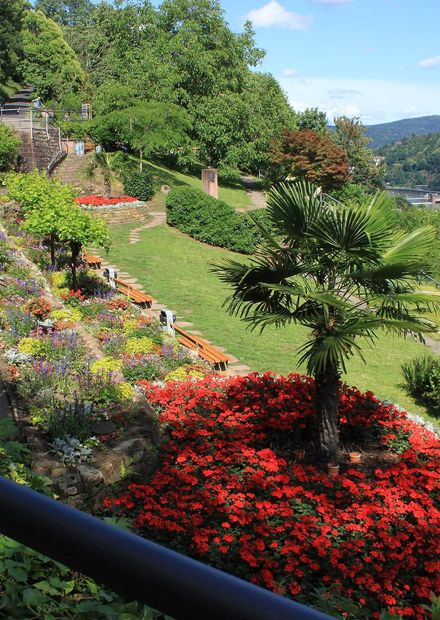 File:Philosophengärtchen-Heidelberg.jpg ...