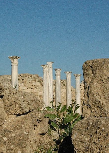 File:Salamis Ruins 3.jpg - Wikimedia ...