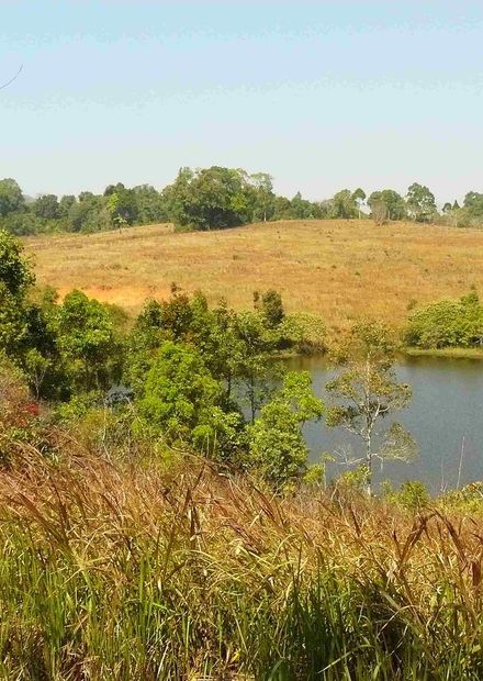 Khao Yai National Park Landscape.JPG ...