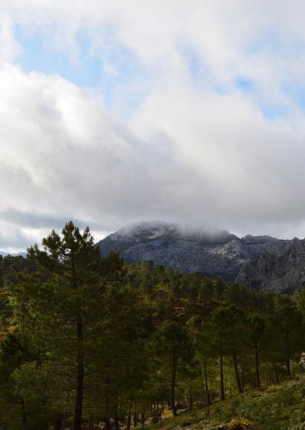 la Sierra de Grazalema.jpg ...