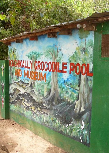 File:Gambia Kachikally 0002.jpg ...
